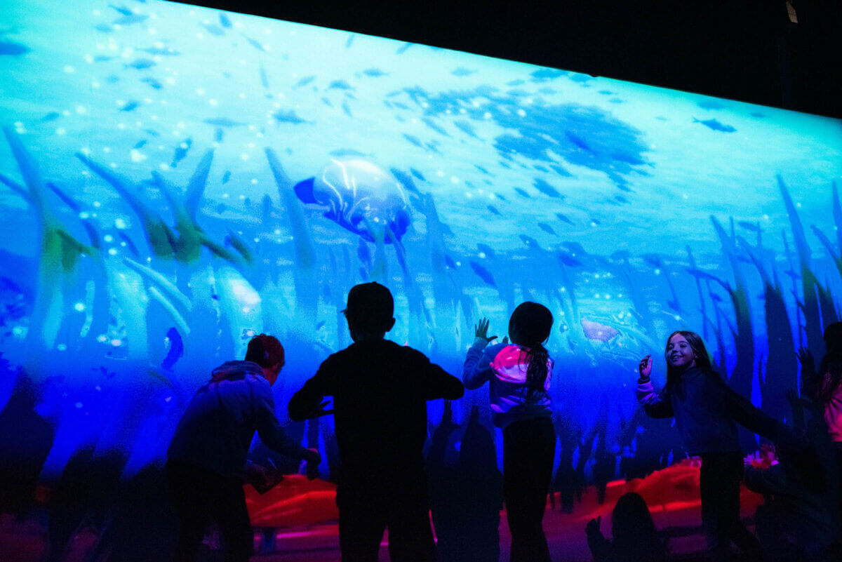 One Blue Voice vistors visit design immersive experience with storytelling