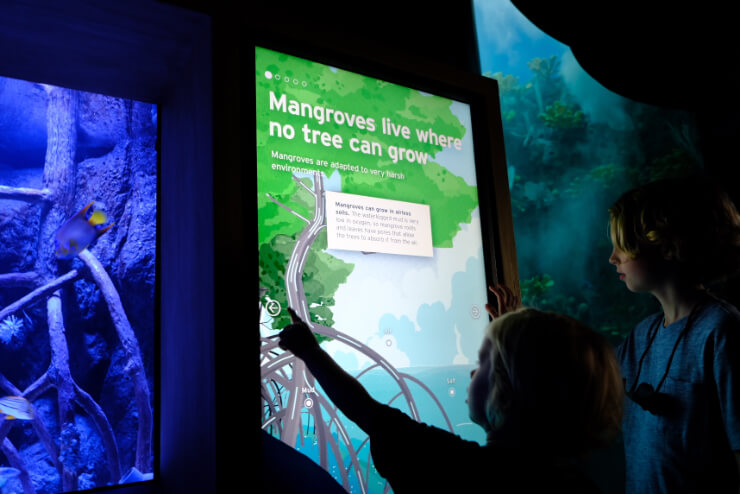 Celebrating biodiversity for Biomuseo Panama Oceans Divided visitors view interactive monitor in immersive soundscape for a deep dive into ocean
