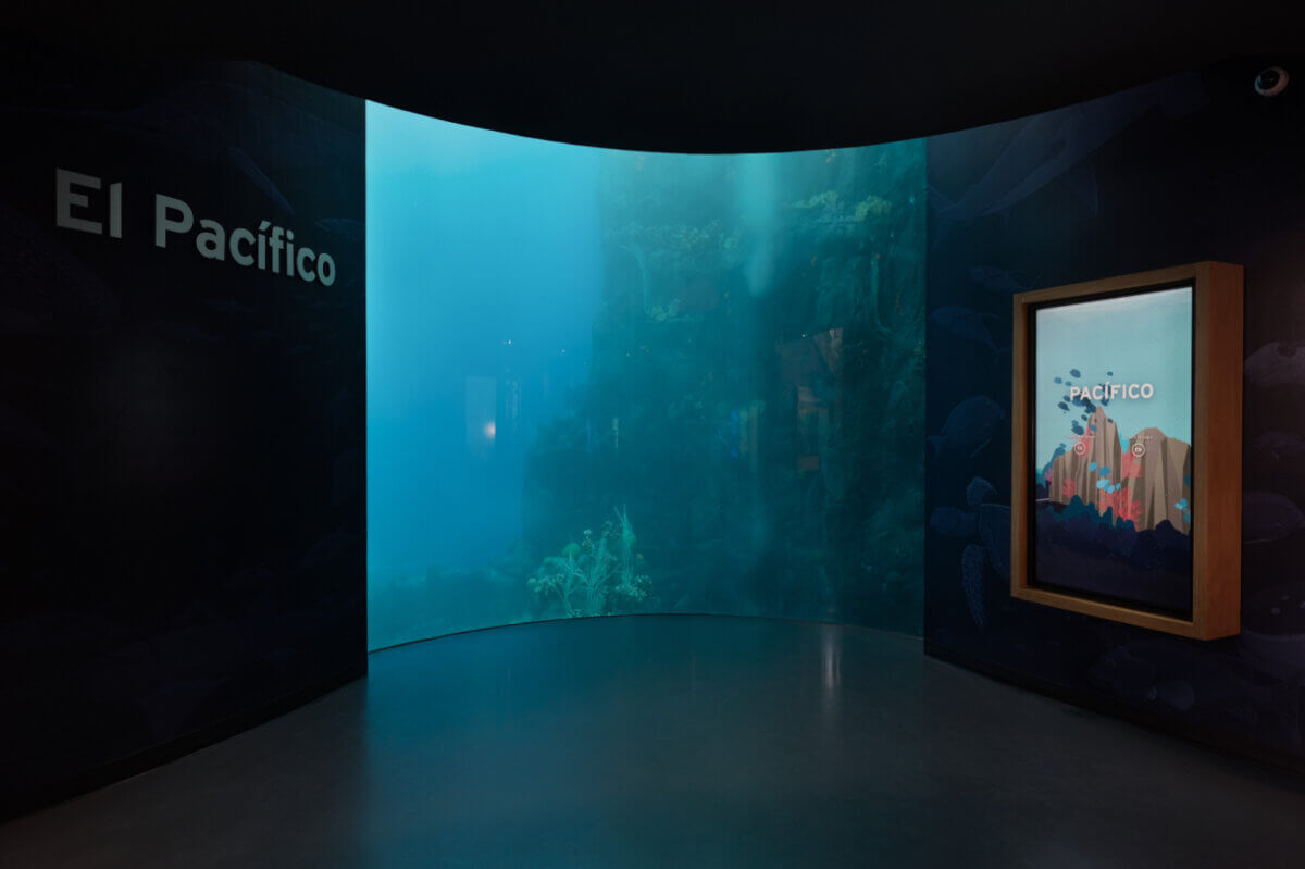 Celebrating biodiversity for Biomuseo Panama Oceans Divided deep dive into immersive soundscape Pacific ocean