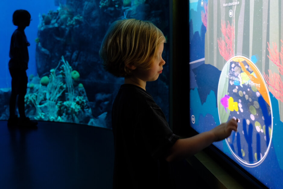 Celebrating biodiversity for Biomuseo Panama Oceans Divided visitors view interactive monitor in immersive soundscape for a deep dive into ocean