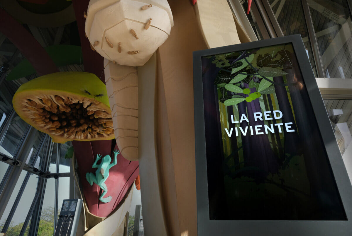 Celebrating biodiversity for Biomuseo Panama Living Web visitors enter interactive gallery with ambient sounds from the deep ocean and audio stories