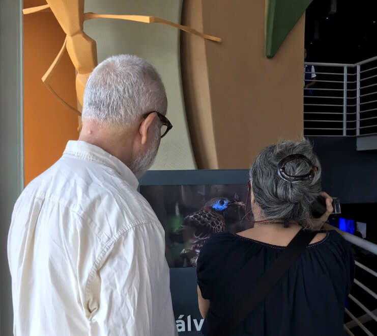 Celebrating biodiversity for Biomuseo Panama Living Web visitors enter interactive gallery where they learn and identify species