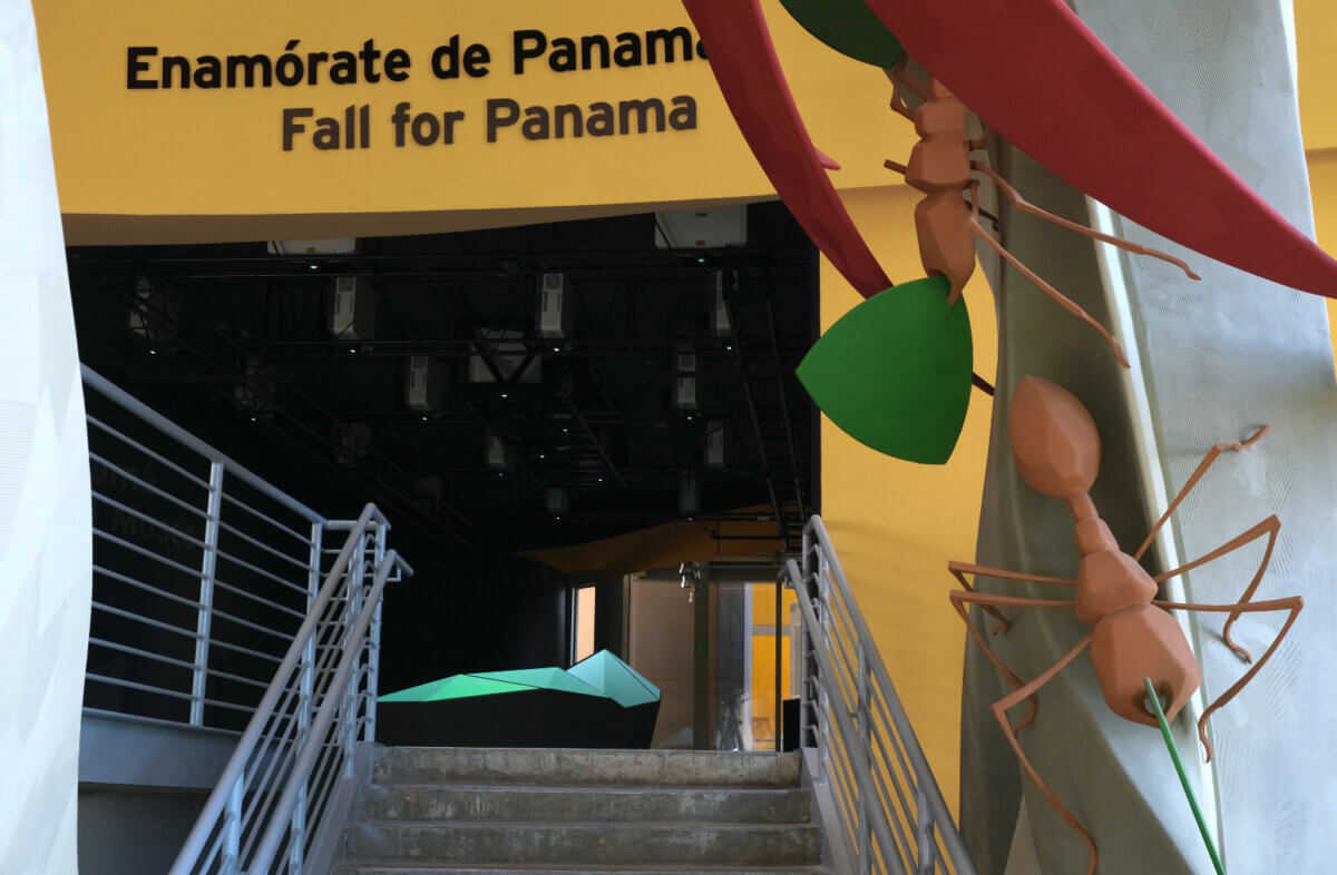 Celebrating biodiversity for Biomuseo Panama museum final colorful gallery