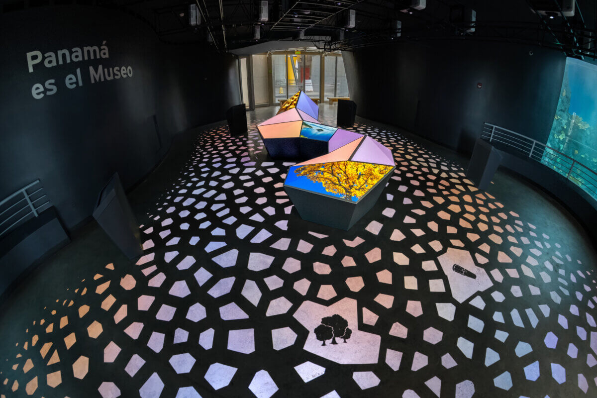 Celebrating biodiversity for Biomuseo Panama museum final colorful gallery at the centre sits iconic sculpture of Panama