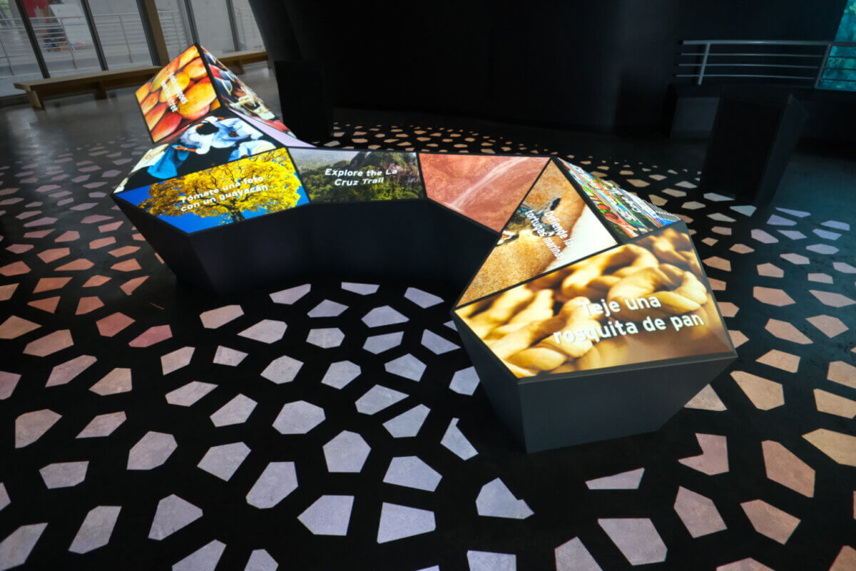 Celebrating biodiversity for Biomuseo Panama museum final colorful gallery at the centre sits iconic sculpture of Panama