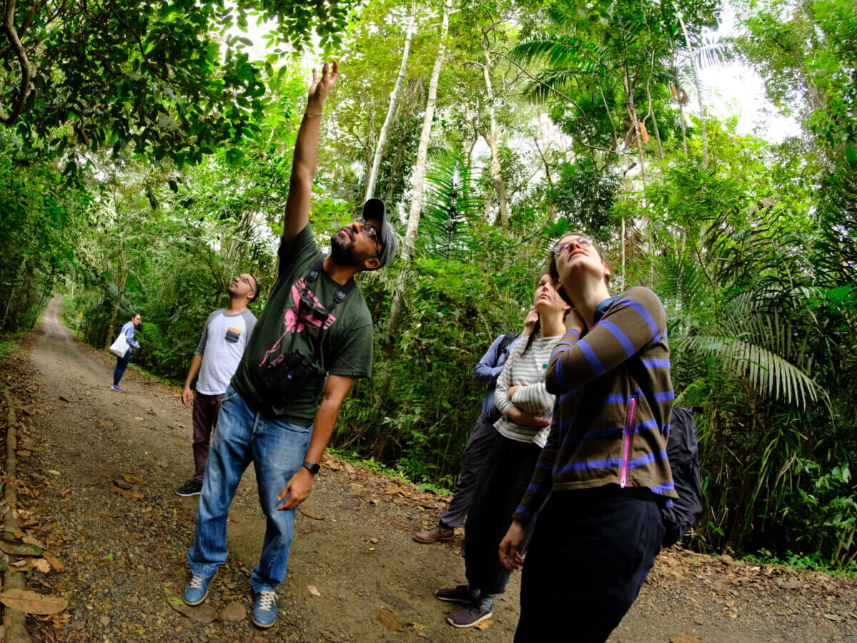 Celebrating biodiversity for Biomuseo Panama visiting Panama and Biomuseo to see biodiversity present in rainforest