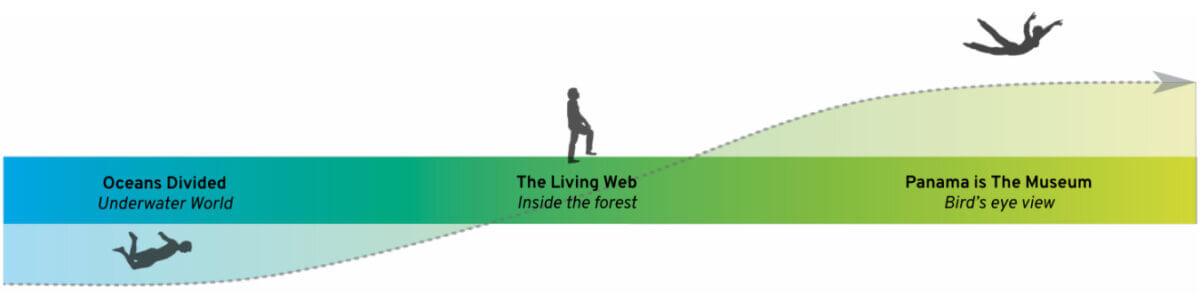 Celebrating biodiversity for Biomuseo Panama single narrative interpretation ties of galleries