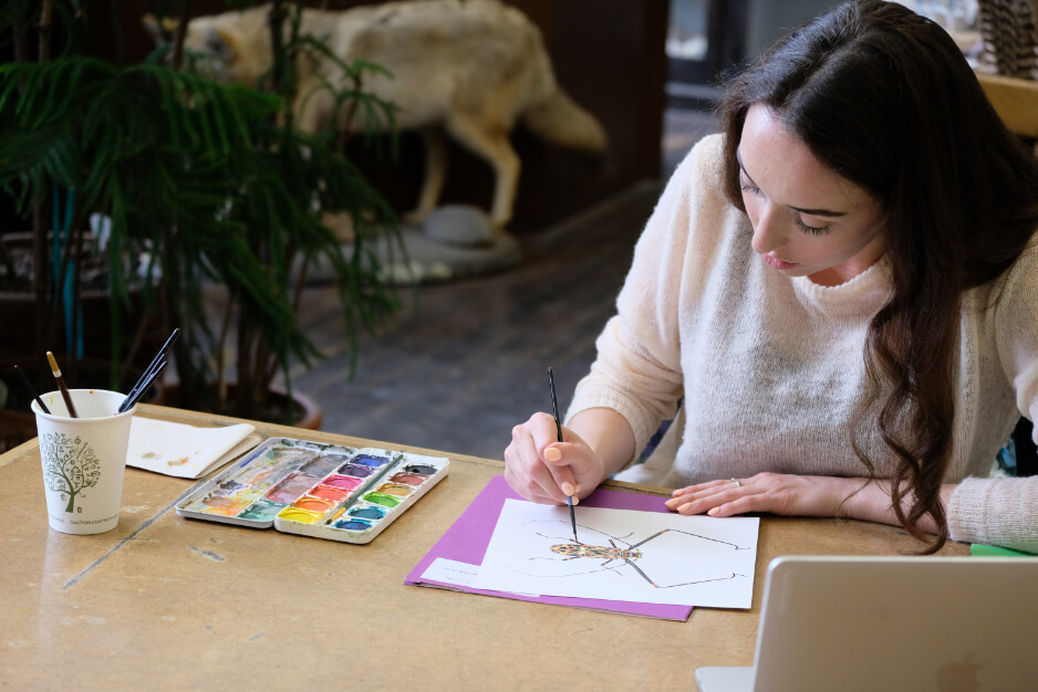 Celebrating biodiversity for Biomuseo Panama scientifc illustrations of species