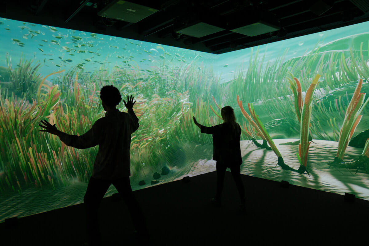 Floriade 2022 guest experience for UAE Pavilion seagrass immersive experience room
