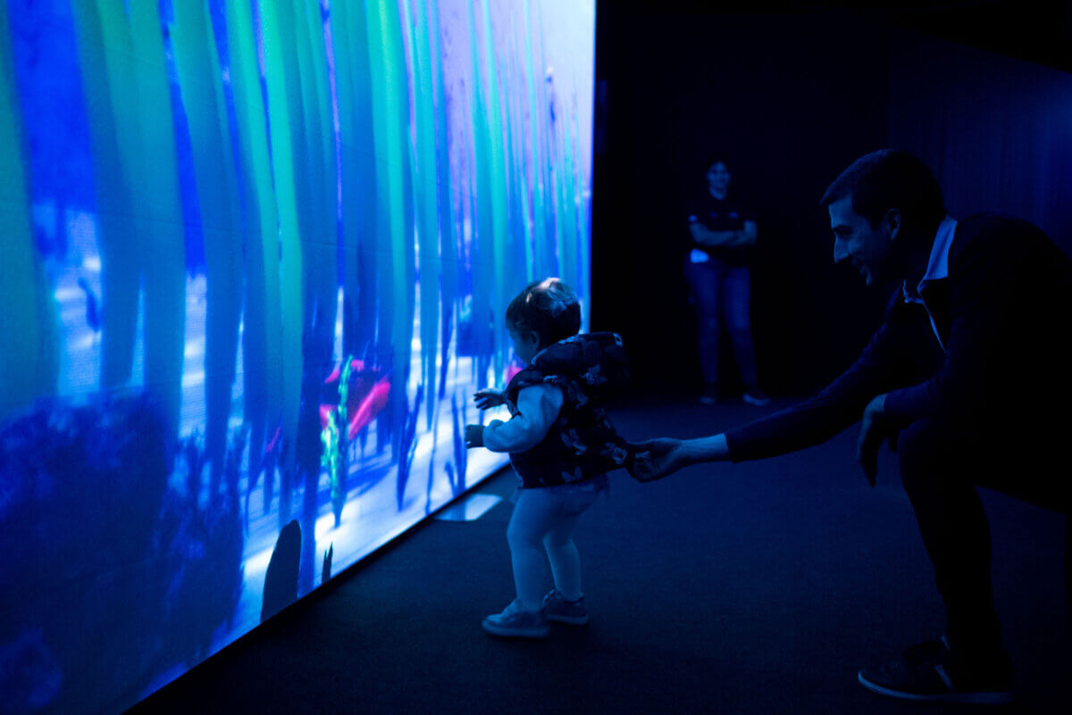 One Blue Voice The Pavilion child looking at 3D animated ocean design immersive experience