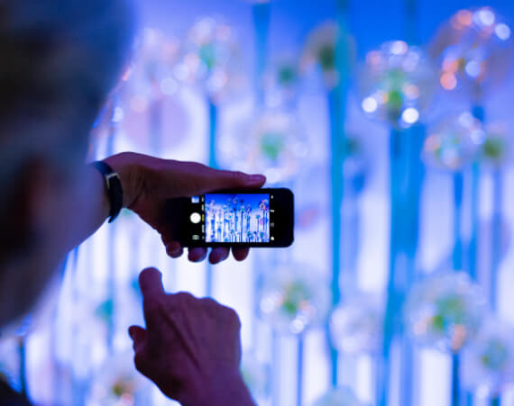 Van Gogh Dreams for Van Gogh Museum Amsterdam The Promise of the South visitors taking photos of flower field design installation