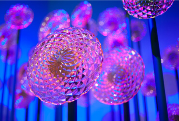 Van Gogh Dreams for Van Gogh Museum Amsterdam The Promise of the South purple flower field immersive design installation