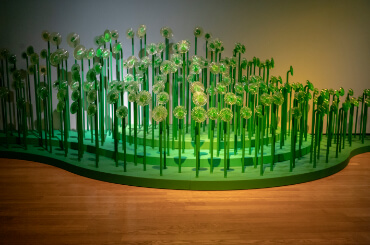 Van Gogh Dreams for Van Gogh Museum Amsterdam The Promise of the South green flower field immersive design installation