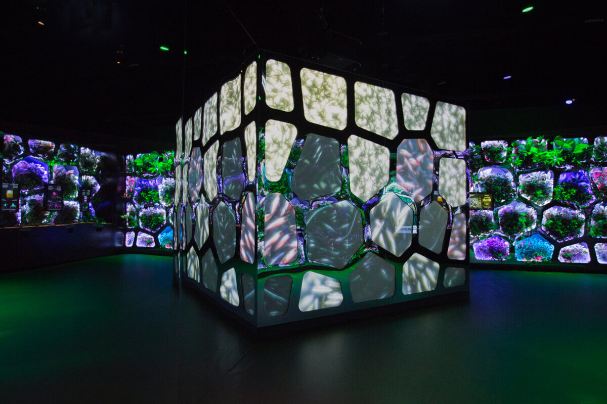 AutoFarm automated food production factory