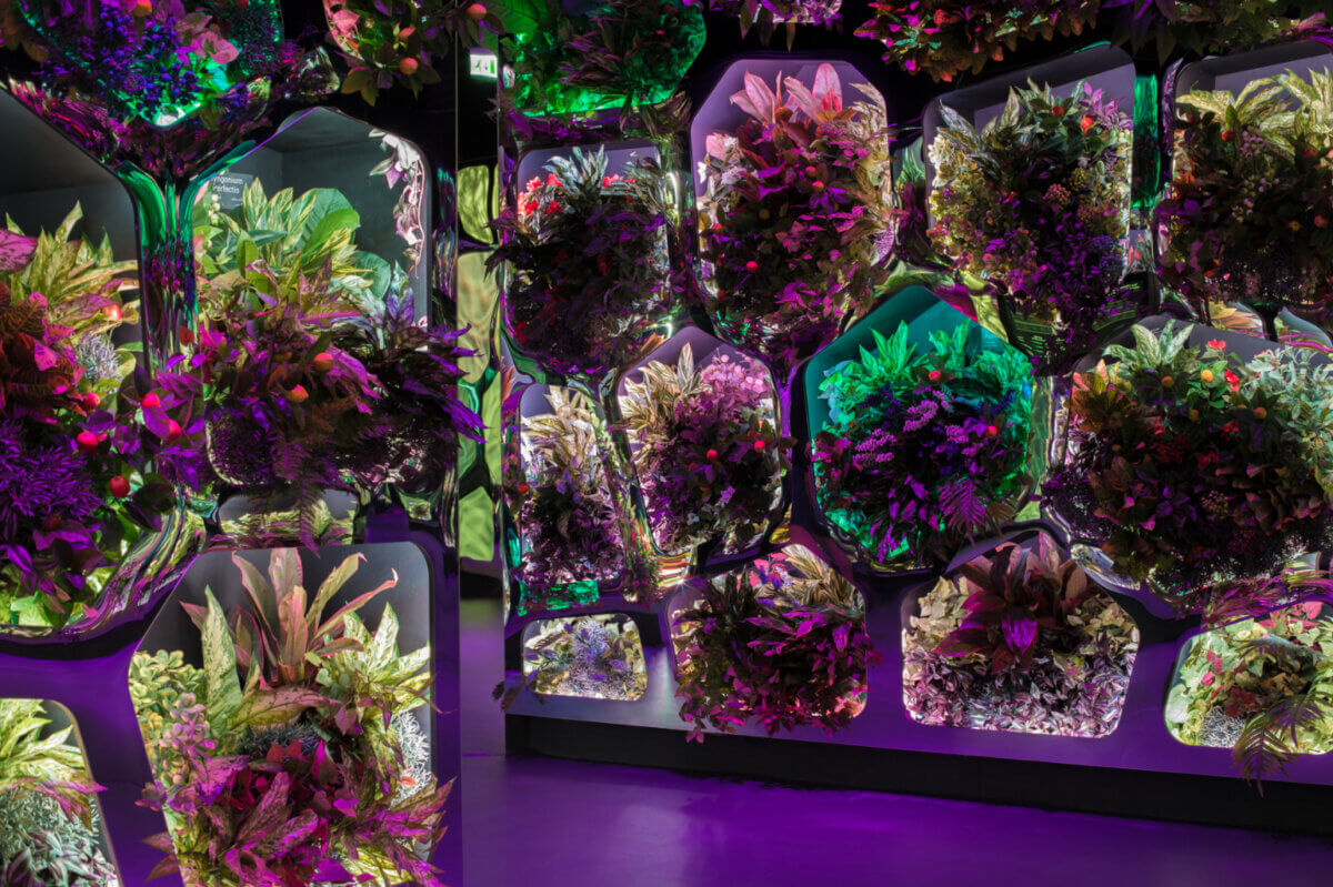 AutoFarm automated food production factory