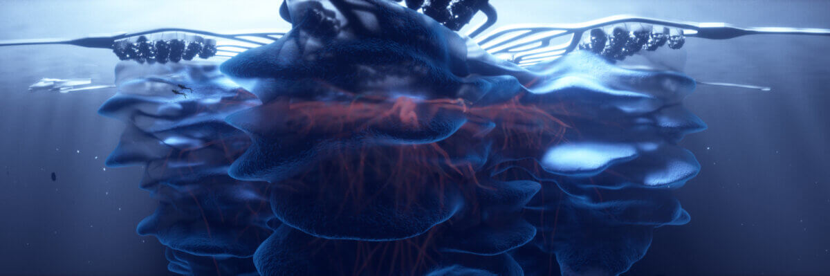 Jellyfish mangrove DNA desalination process