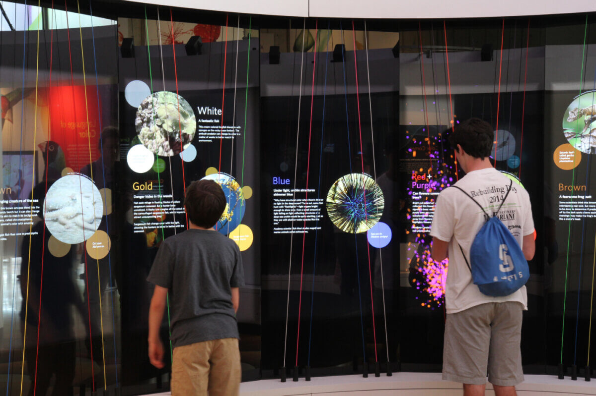 The central exhibit Color Visualizer features multicolored strings that visitors can pluck to hear stories about how color is used in nature for camouflage and communication
