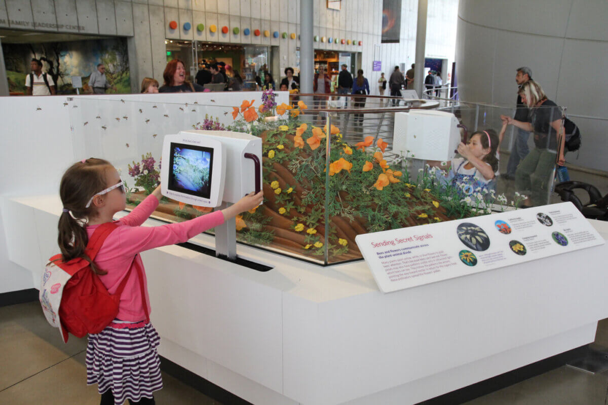 The interactive installations are designed for children and showcase the interconnectedness of life