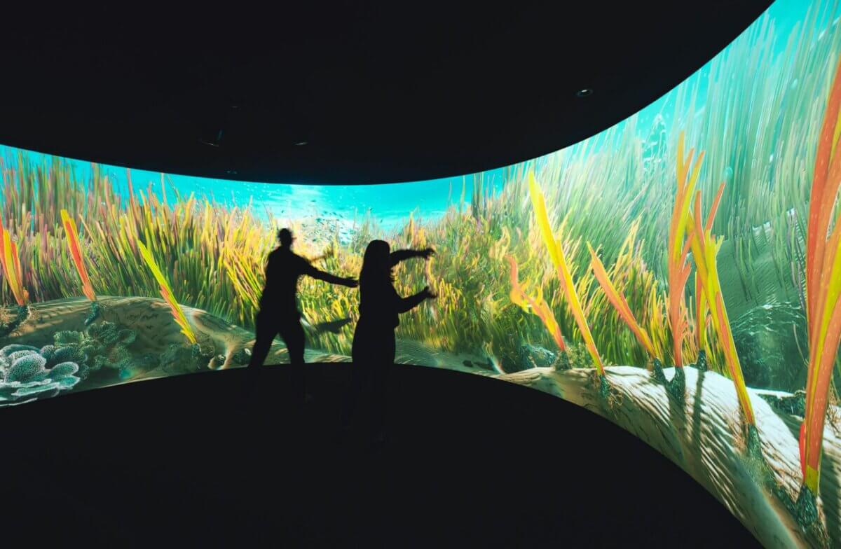 Dinner in 2050 for The House of Sustainability at COP28 interactive responsive seagrass meadow design installation