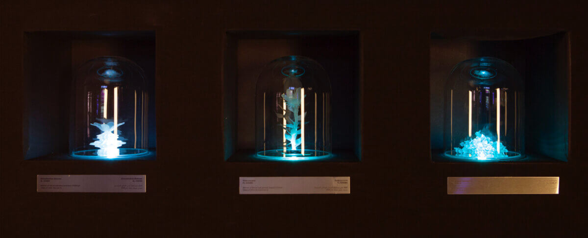 Prize winning plant exhibit immersive museum storytelling experience