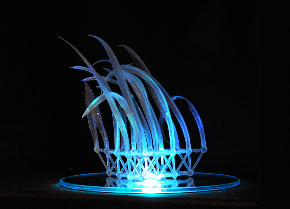 Best desert stabilizing plant award museum design with experiential learning