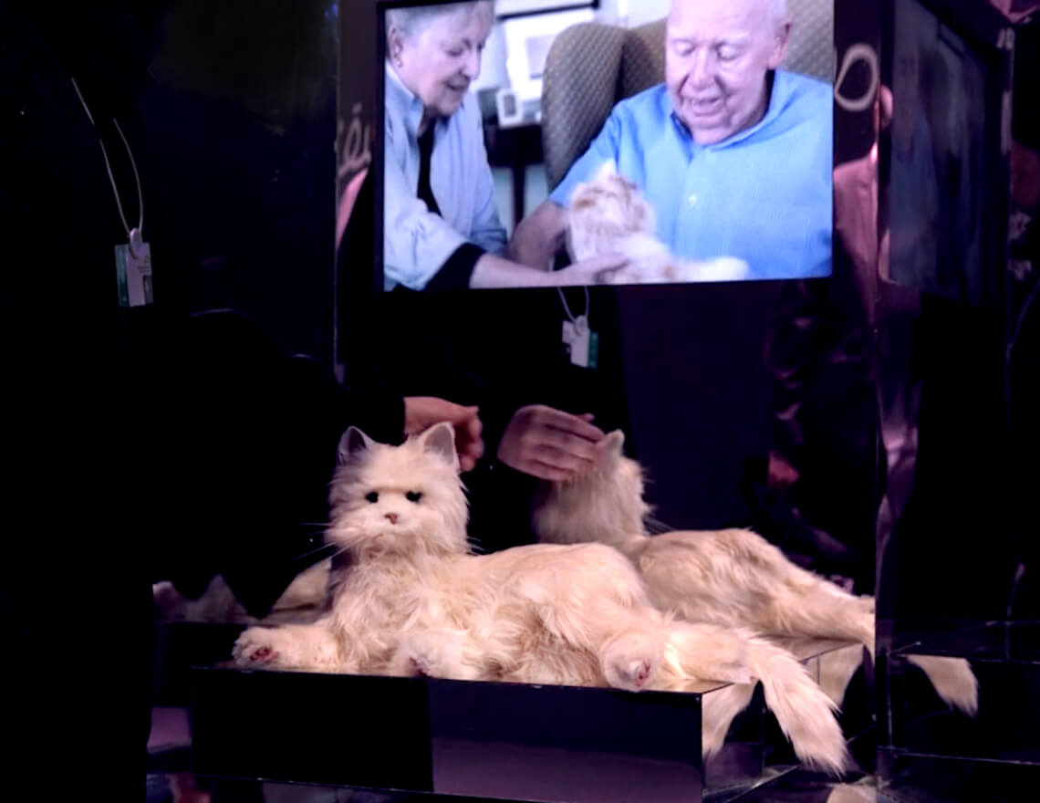 Our future life with intelligent machines Museum of the Future Dubai robotic companion cat for senior citizens