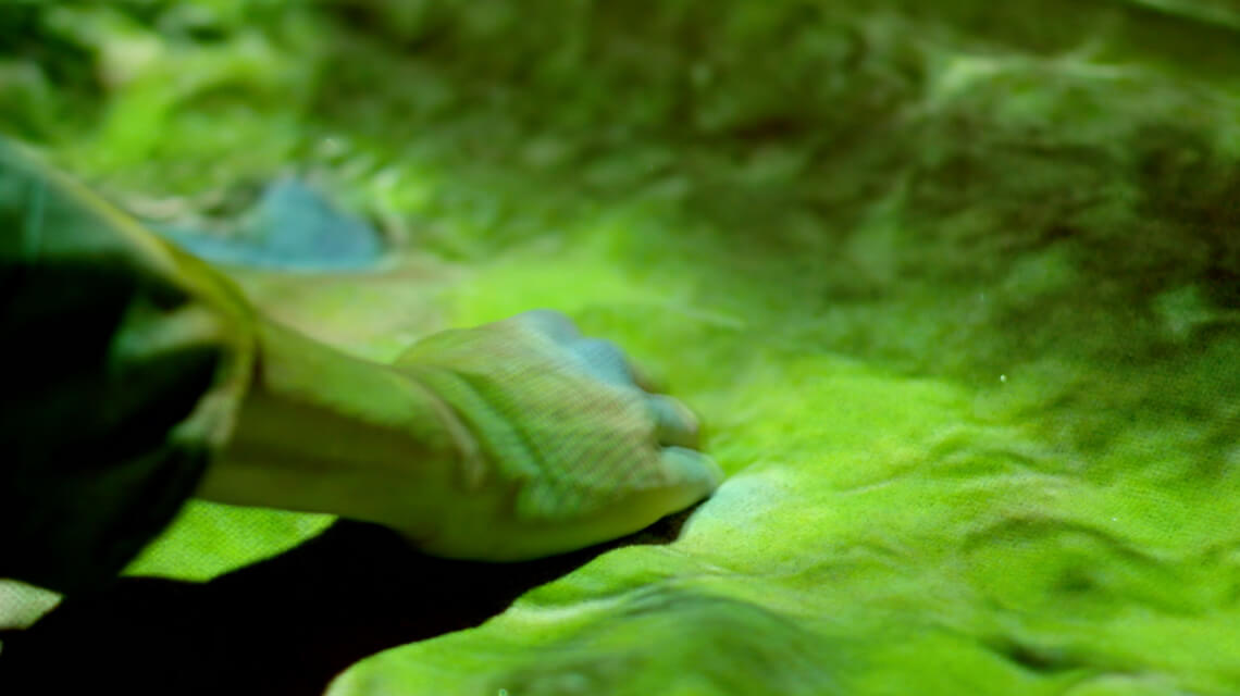 Visitors shaping landscapes with hands in sand
