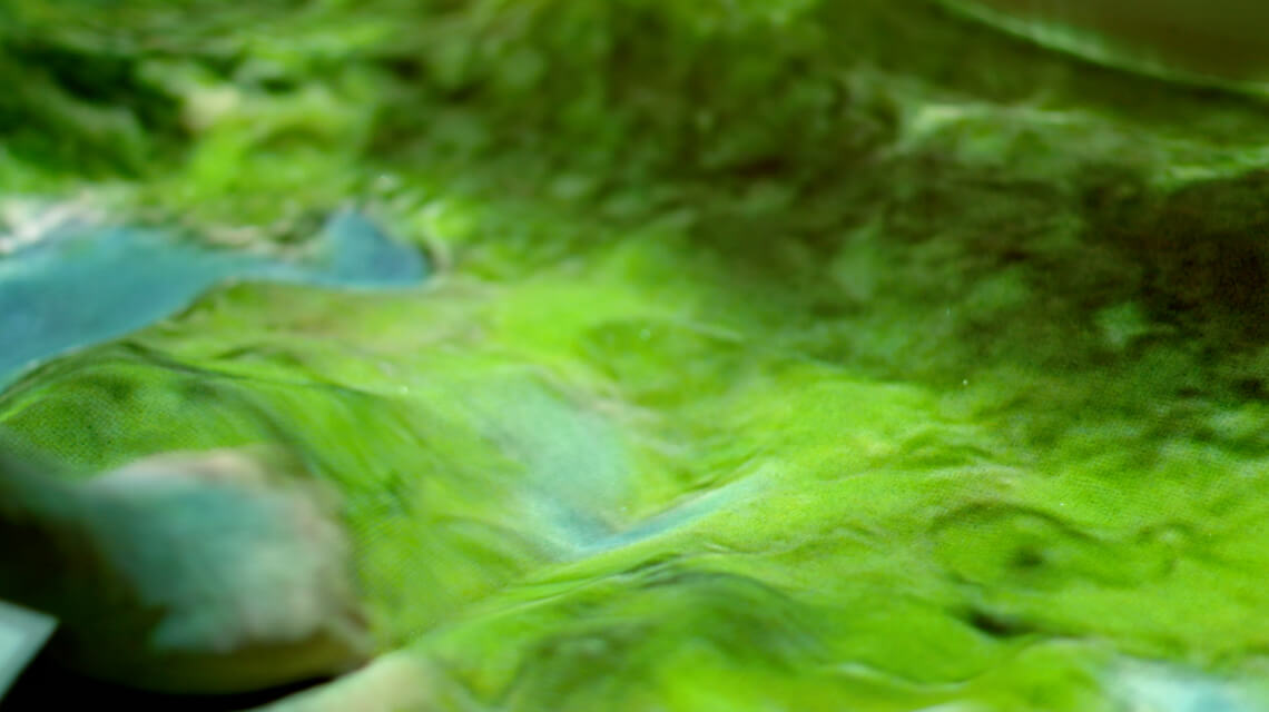 Visitors shaping landscapes with hands in sand